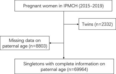 Association Between Paternal Age and Birth Weight in Preterm and Full-Term Birth: A Retrospective Study